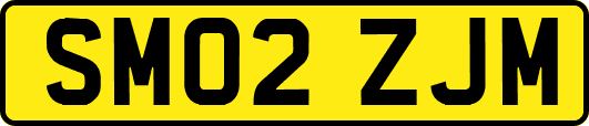 SM02ZJM