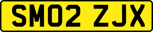 SM02ZJX