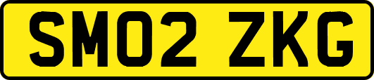 SM02ZKG