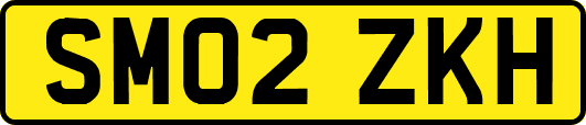 SM02ZKH