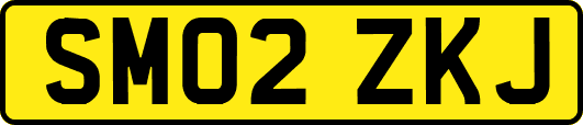SM02ZKJ