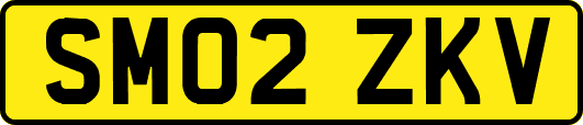 SM02ZKV