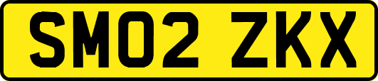 SM02ZKX