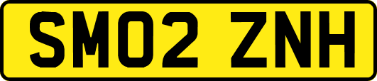 SM02ZNH