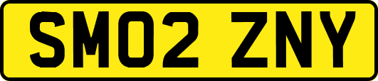 SM02ZNY