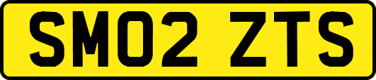 SM02ZTS