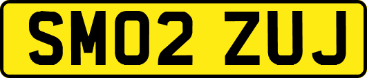 SM02ZUJ