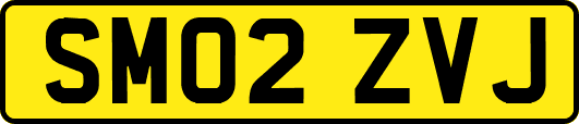 SM02ZVJ