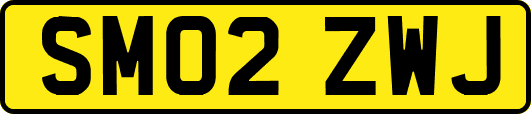 SM02ZWJ