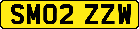SM02ZZW