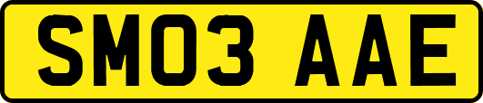SM03AAE