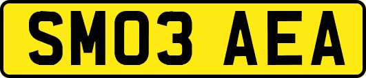 SM03AEA