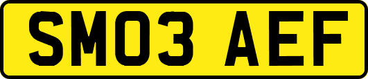 SM03AEF
