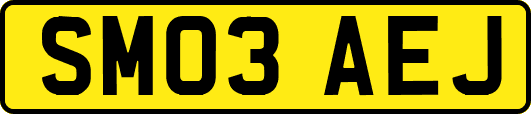 SM03AEJ
