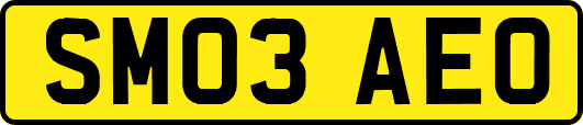 SM03AEO