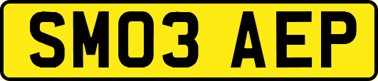 SM03AEP