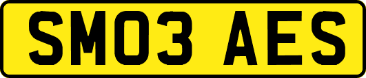SM03AES