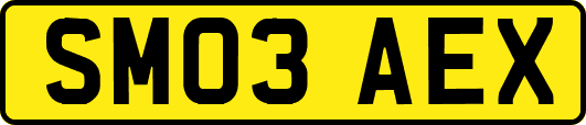 SM03AEX