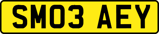 SM03AEY