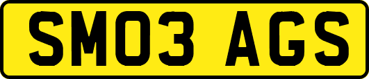 SM03AGS