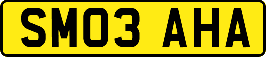 SM03AHA