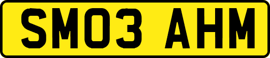 SM03AHM