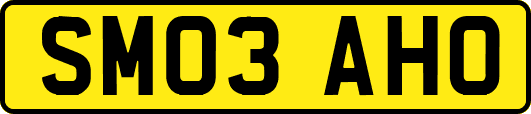 SM03AHO