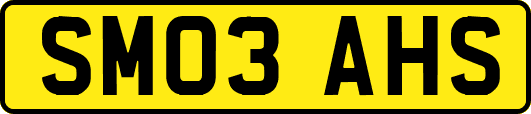 SM03AHS