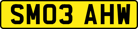 SM03AHW