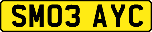 SM03AYC