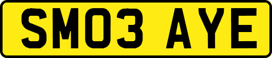 SM03AYE