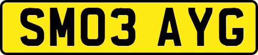 SM03AYG