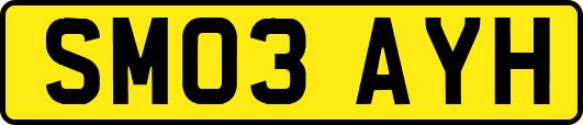 SM03AYH