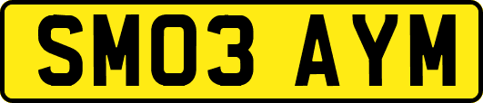 SM03AYM