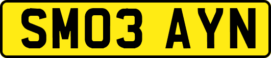 SM03AYN
