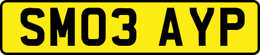 SM03AYP