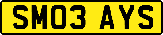 SM03AYS