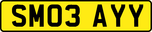 SM03AYY