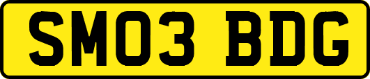 SM03BDG