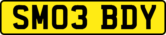 SM03BDY