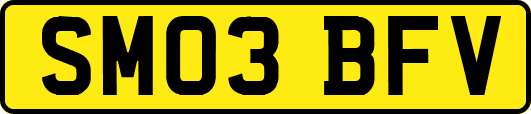 SM03BFV