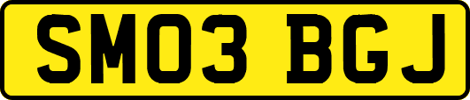 SM03BGJ