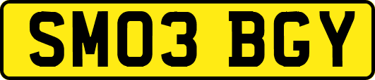 SM03BGY