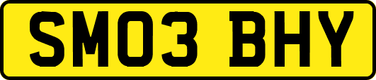 SM03BHY