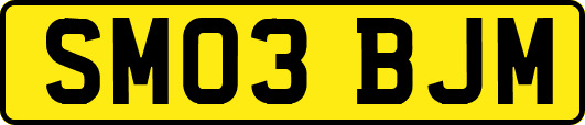 SM03BJM