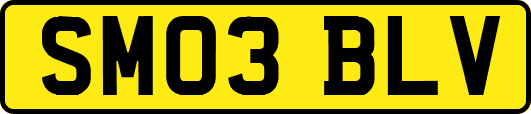 SM03BLV