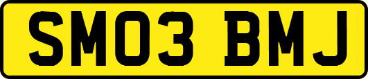 SM03BMJ