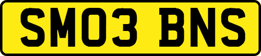 SM03BNS