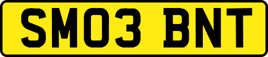 SM03BNT