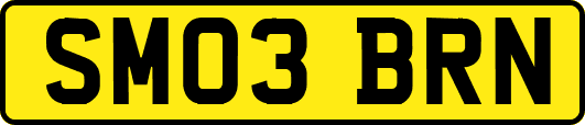 SM03BRN